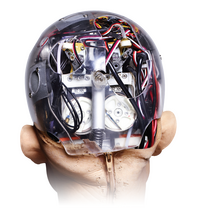 Remote Sensing Robot